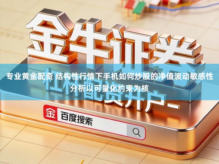 专业黄金配资 结构性行情下手机如何炒股的净值波动敏感性分析以可量化约束为核