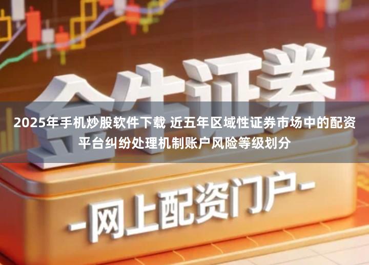 2025年手机炒股软件下载 近五年区域性证券市场中的配资平台纠纷处理机制账户风险等级划分